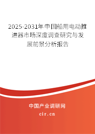2025-2031年中國船用電動推進器市場深度調查研究與發展前景分析報告