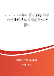 2025-2031年中國(guó)機(jī)器學(xué)習(xí)平臺(tái)行業(yè)現(xiàn)狀與發(fā)展前景分析報(bào)告
