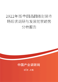 2022年版中國晶圓級封裝市場現狀調研與發展前景趨勢分析報告