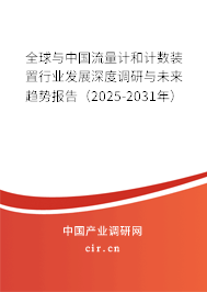 全球與中國流量計和計數裝置行業發展深度調研與未來趨勢報告(2025-2031年) 全球與中國流量計和計數裝置行業發展深度調研與未來趨勢報告(2025-2031年)