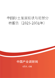 中國砂土發展現狀與前景分析報告（2025-2031年）