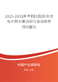 2025-2031年中國太陽能電池板市場全面調研與發展趨勢預測報告