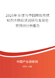 2024年全球與中國橡膠用抗粘劑市場現狀調研與發展前景預測分析報告