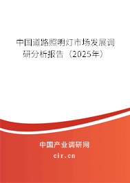 中國道路照明燈市場發展調研分析報告（2024年）