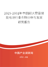 2025-2031年中國超大容量儲能電池行業市場分析與發展趨勢報告 2025-2031年中國超大容量儲能電池行業市場分析與發展趨勢報告