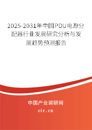2025-2031年中國PDU電源分配器行業發展研究分析與發展趨勢預測報告