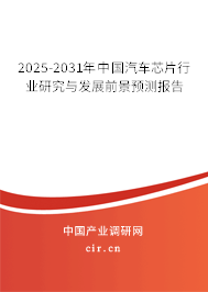 2025-2031年中國(guó)汽車(chē)芯片行業(yè)研究與發(fā)展前景預(yù)測(cè)報(bào)告