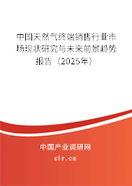 中國天然氣終端銷售行業市場現狀研究與未來前景趨勢報告（2025年）