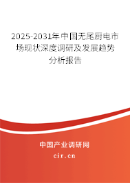 2025-2031年中國無尾廚電市場現狀深度調研及發展趨勢分析報告