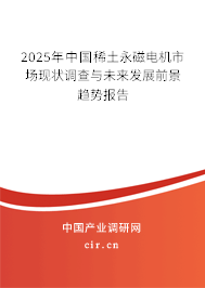2025年中國稀土永磁電機市場現狀調查與未來發展前景趨勢報告