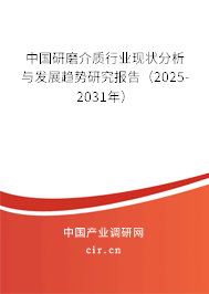 中國研磨介質(zhì)行業(yè)現(xiàn)狀分析與發(fā)展趨勢(shì)研究報(bào)告（2025-2031年）