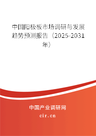 中國陽極板市場調研與發展趨勢預測報告（2025-2031年）