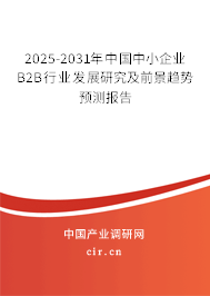 2025-2031年中國中小企業B2B行業發展研究及前景趨勢預測報告
