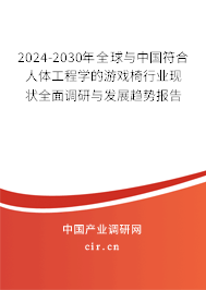 2024-2030年全球與中國符合人體工程學(xué)的游戲椅行業(yè)現(xiàn)狀全面調(diào)研與發(fā)展趨勢(shì)報(bào)告
