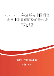 2025-2031年全球與中國鋼合金行業發展調研及前景趨勢預測報告