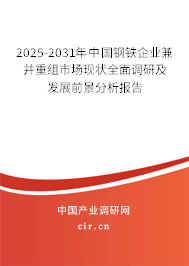 2025-2031年中國鋼鐵企業兼并重組市場現狀全面調研及發展前景分析報告 2025-2031年中國鋼鐵企業兼并重組市場現狀全面調研及發展前景分析報告