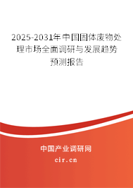 2025-2031年中國固體廢物處理市場全面調研與發展趨勢預測報告