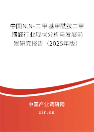 中國(guó)N,N-二甲基甲酰胺二甲縮醛行業(yè)現(xiàn)狀分析與發(fā)展前景研究報(bào)告（2025年版）
