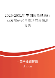 2025-2031年中國智能鐵路行業發展研究與市場前景預測報告