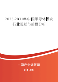 2025-2031年中國半導體模塊行業現狀與前景分析
