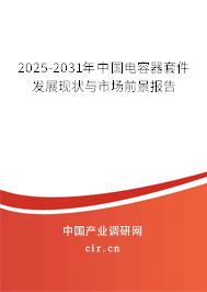 2024-2030年中國電容器套件發(fā)展現(xiàn)狀與市場前景報告