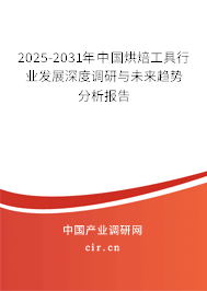 2024-2030年中國烘焙工具行業發展深度調研與未來趨勢分析報告