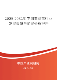 2024-2030年中國韭菜花行業(yè)發(fā)展調(diào)研與前景分析報告