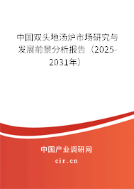 中國雙頭地湯爐市場研究與發展前景分析報告（2025-2031年）