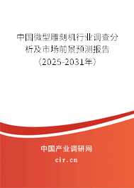 中國微型雕刻機行業調查分析及市場前景預測報告（2025-2031年）