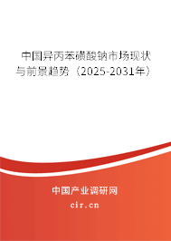 中國異丙苯磺酸鈉市場現(xiàn)狀與前景趨勢（2025-2031年）