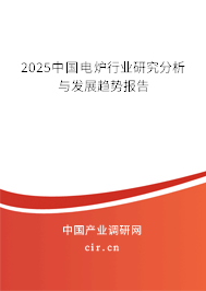 2025中國電爐行業研究分析與發展趨勢報告