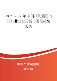 2025-2031年中國減輪胎壓力計行業研究分析與發展趨勢報告